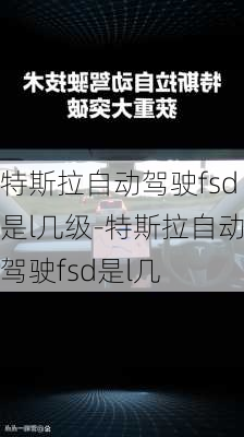 特斯拉自动驾驶fsd是l几级-特斯拉自动驾驶fsd是l几