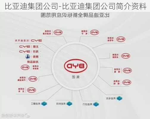 比亚迪集团公司-比亚迪集团公司简介资料