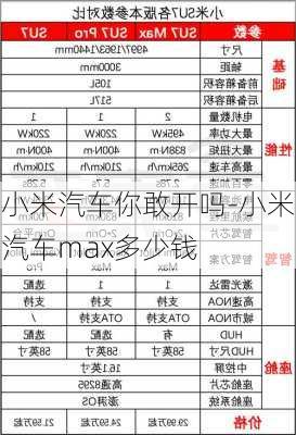 小米汽车你敢开吗-小米汽车max多少钱