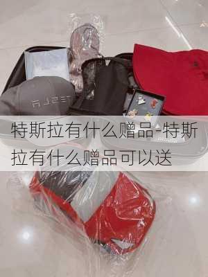 特斯拉有什么赠品-特斯拉有什么赠品可以送