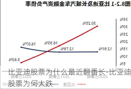 比亚迪股票为什么最近翻番长-比亚迪股票为何大跌