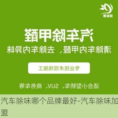 汽车除味哪个品牌最好-汽车除味加盟