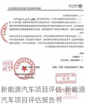 新能源汽车项目评估-新能源汽车项目评估报告书