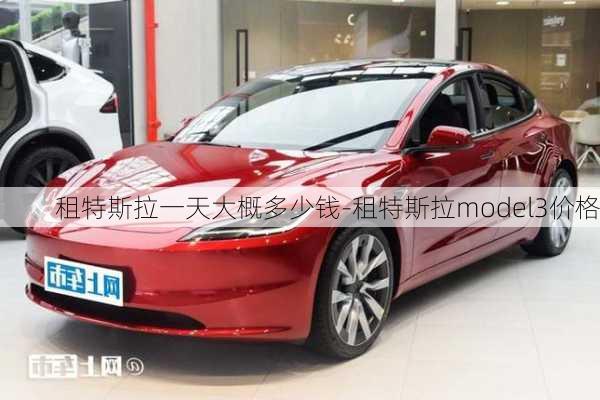 租特斯拉一天大概多少钱-租特斯拉model3价格