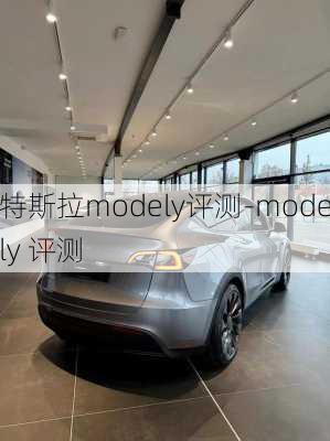 特斯拉modely评测-modely 评测