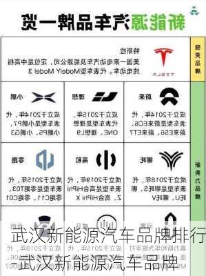 武汉新能源汽车品牌排行-武汉新能源汽车品牌