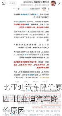 比亚迪汽车降价原因-比亚迪汽车降价原因