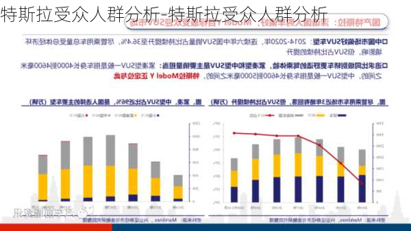 特斯拉受众人群分析-特斯拉受众人群分析