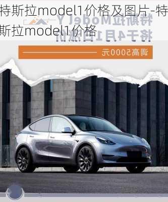 特斯拉model1价格及图片-特斯拉model1价格