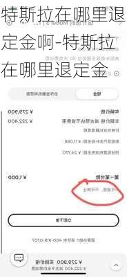 特斯拉在哪里退定金啊-特斯拉在哪里退定金