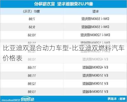 比亚迪双混合动力车型-比亚迪双燃料汽车价格表