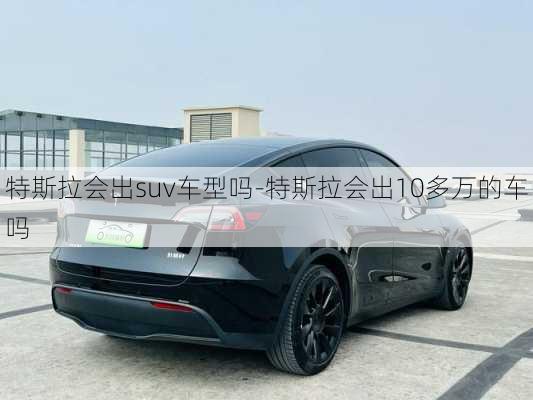 特斯拉会出suv车型吗-特斯拉会出10多万的车吗