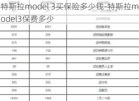 特斯拉model 3买保险多少钱-特斯拉model3保费多少