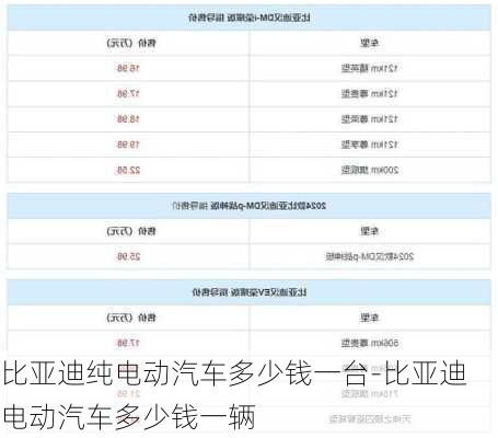 比亚迪纯电动汽车多少钱一台-比亚迪电动汽车多少钱一辆