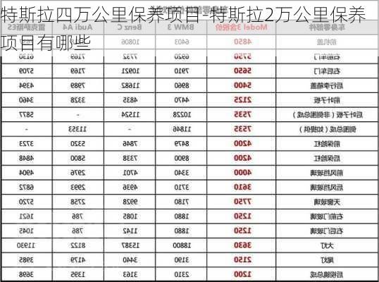 特斯拉四万公里保养项目-特斯拉2万公里保养项目有哪些