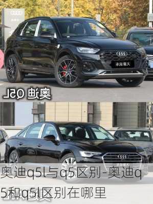 奥迪q5l与q5区别-奥迪q5和q5l区别在哪里