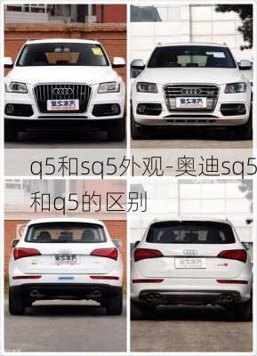 q5和sq5外观-奥迪sq5和q5的区别