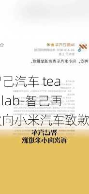 智己汽车 teamlab-智己再次向小米汽车致歉