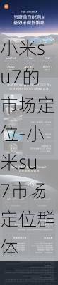 小米su7的市场定位-小米su7市场定位群体