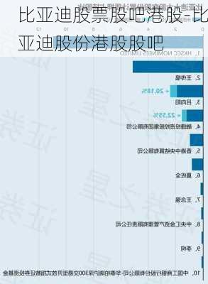 比亚迪股票股吧港股-比亚迪股份港股股吧